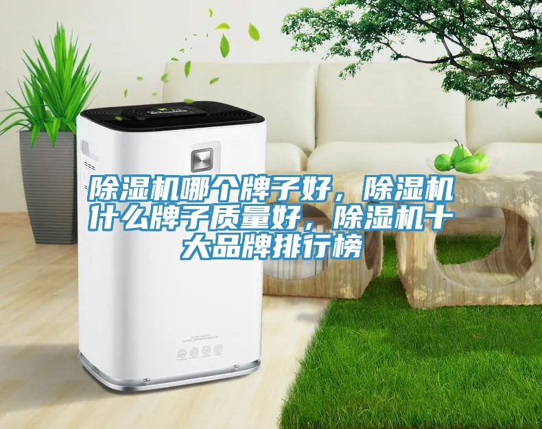 除濕機(jī)哪個(gè)牌子好，除濕機(jī)什么牌子質(zhì)量好，除濕機(jī)十大品牌排行榜