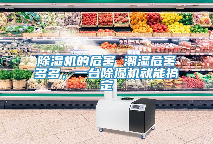 除濕機(jī)的危害 潮濕危害多多，一臺(tái)除濕機(jī)就能搞定
