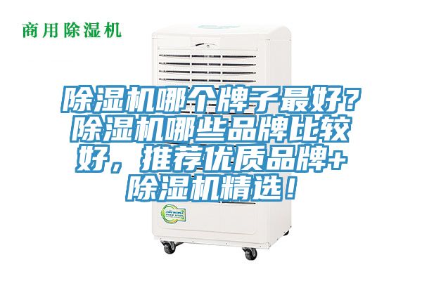 除濕機哪個牌子最好？除濕機哪些品牌比較好，推薦優(yōu)質(zhì)品牌+除濕機精選！