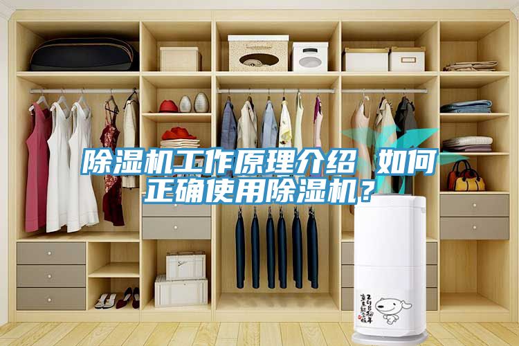 除濕機(jī)工作原理介紹 如何正確使用除濕機(jī)？