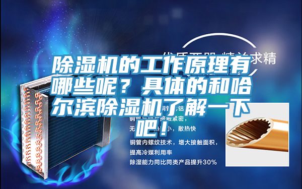 除濕機(jī)的工作原理有哪些呢？具體的和哈爾濱除濕機(jī)了解一下吧！