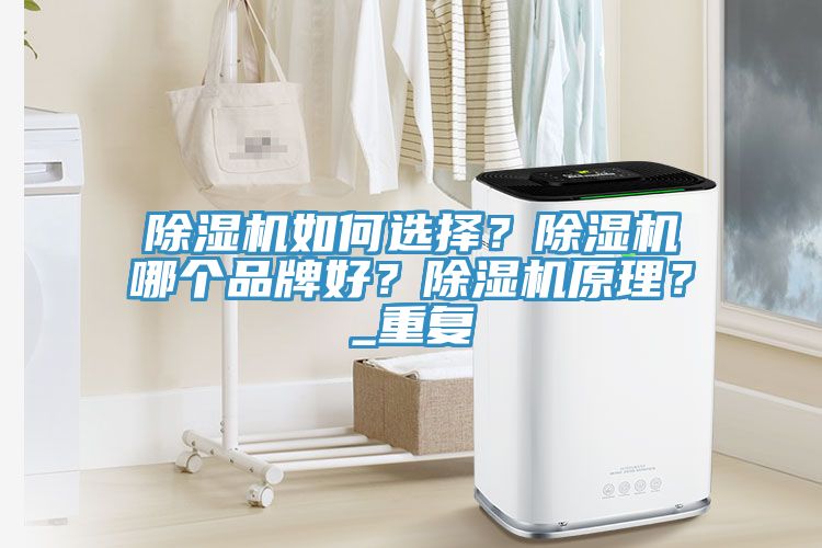 除濕機(jī)如何選擇？除濕機(jī)哪個品牌好？除濕機(jī)原理？_重復(fù)
