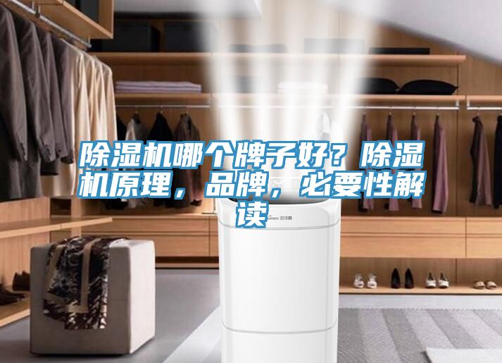 除濕機(jī)哪個(gè)牌子好？除濕機(jī)原理，品牌，必要性解讀