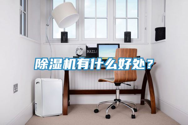 除濕機有什么好處？