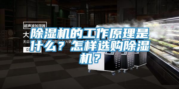 除濕機(jī)的工作原理是什么？怎樣選購除濕機(jī)？