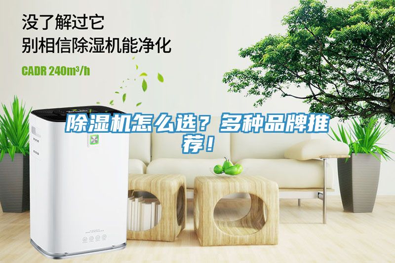 除濕機怎么選？多種品牌推薦！