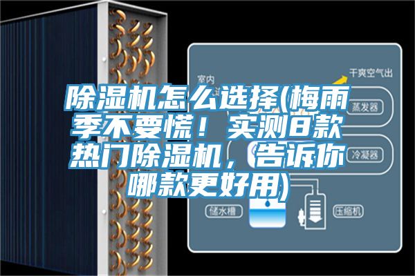 除濕機(jī)怎么選擇(梅雨季不要慌！實(shí)測8款熱門除濕機(jī)，告訴你哪款更好用)
