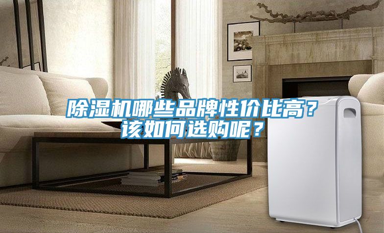 除濕機哪些品牌性價比高？該如何選購呢？