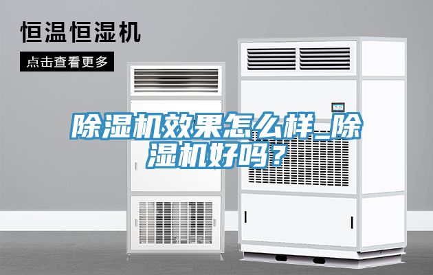 除濕機效果怎么樣_除濕機好嗎？