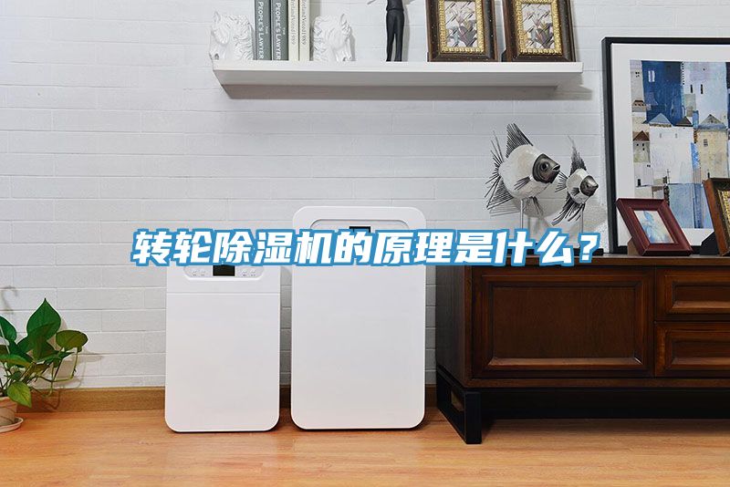 轉(zhuǎn)輪除濕機(jī)的原理是什么？