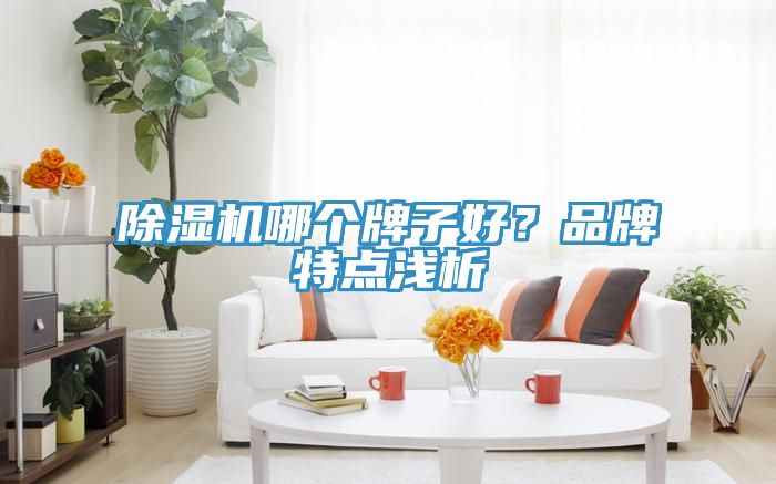 除濕機(jī)哪個(gè)牌子好？品牌特點(diǎn)淺析