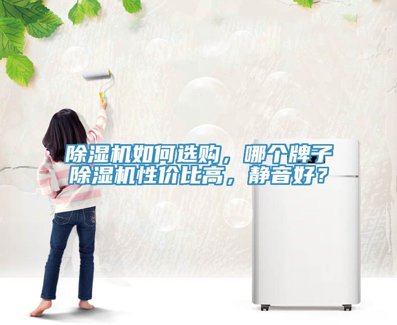 除濕機如何選購，哪個牌子除濕機性價比高，靜音好？