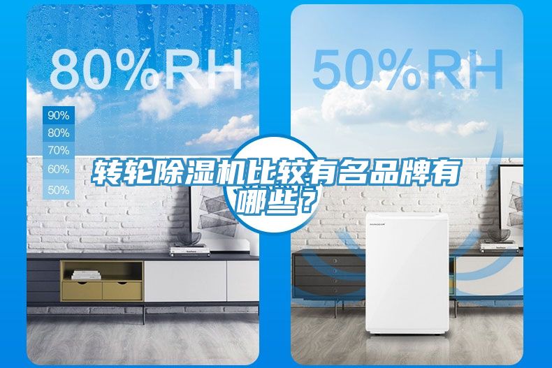 轉輪除濕機比較有名品牌有哪些？
