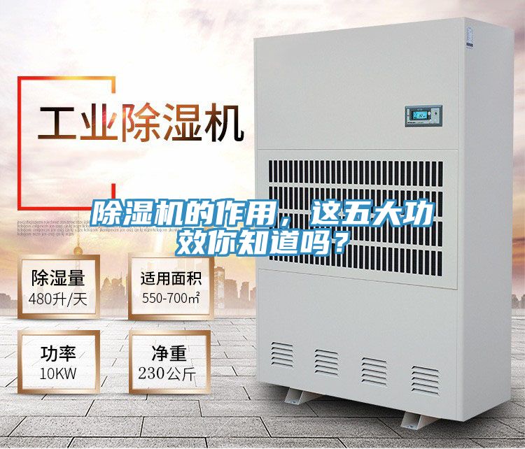 除濕機(jī)的作用，這五大功效你知道嗎？
